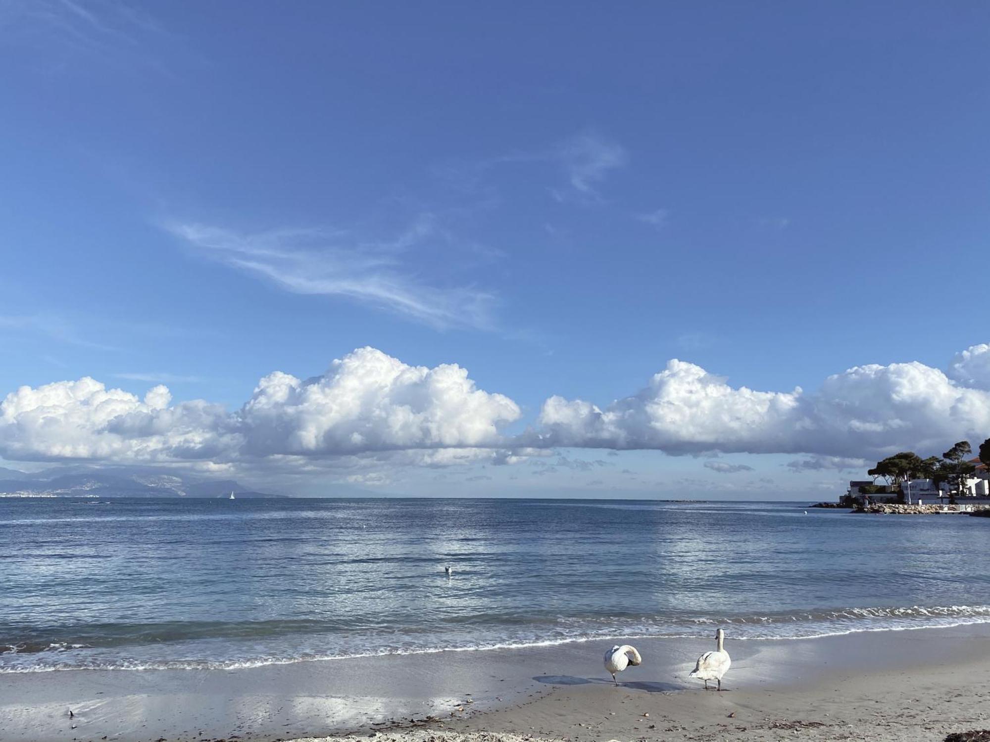 La Jabotte Hotel Antibes Kültér fotó